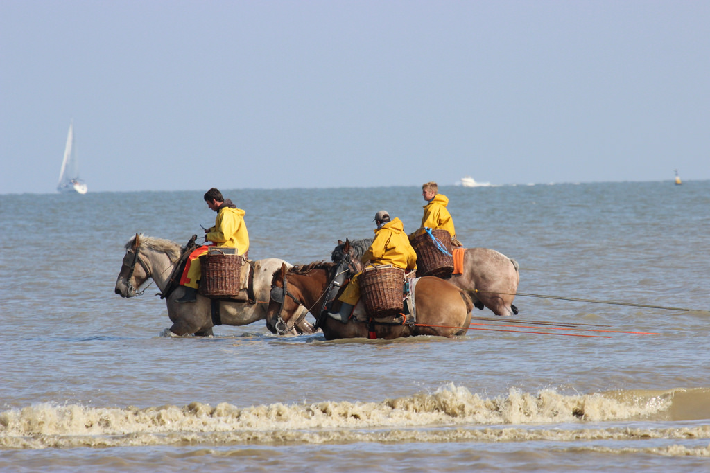 Oostduinkerke